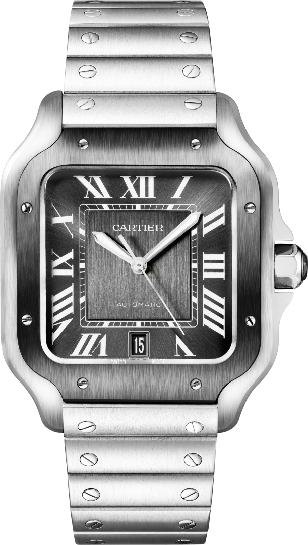 Cartier santos watch