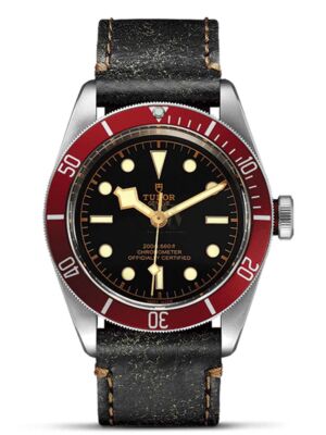 Tudor black bay 79230R