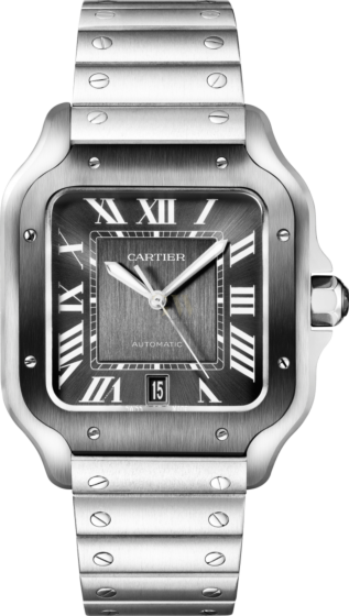 Cartier  santos watch