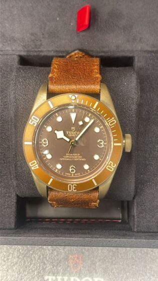 Tudor 79250BM bronzo