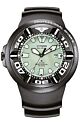 BJ8055-04XCITIZEN Promaster Eco-Drive