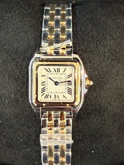 Cartier W2PN0013