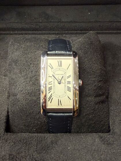 Cartier WSTA0083