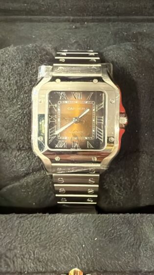 Cartier Wssa0065